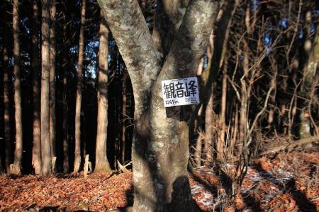 観音峰山頂（1347m）