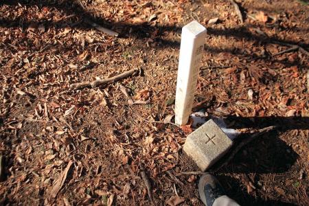 観音峰山の三角点