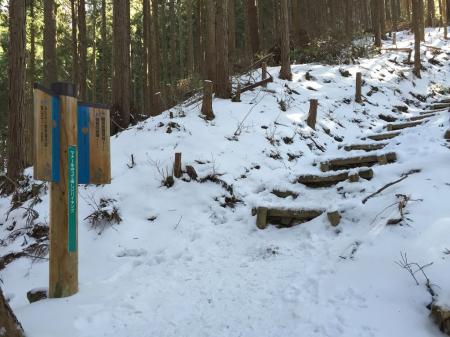 ここから2kmほど