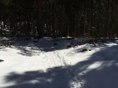 ここからはなだらかになる