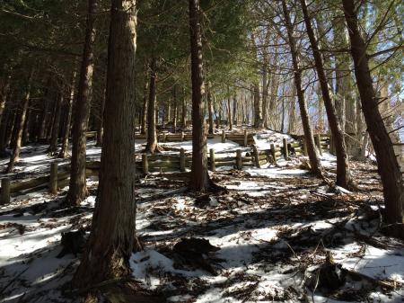 ここからのラスとになるジグザグ道がキツい