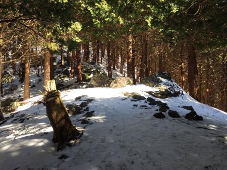 ここまで来ると楽になる