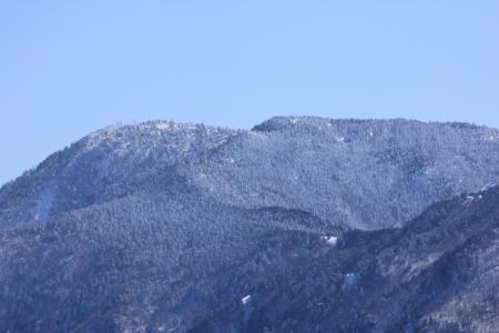 八経ヶ岳のアップ、モンスターが多数いそうだ