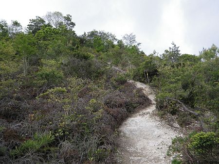 いきなり少し急登のザレ場になっている。いきなりって感じだった