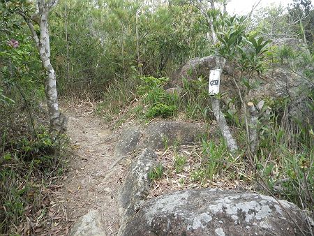 四と書かれたプレートがあったけど、これはポイントを意味してるのか！？