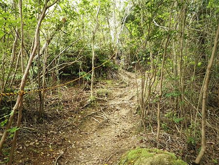 トラロープのあるところは急登になっていた。登り始めの急登は勘弁してほしい