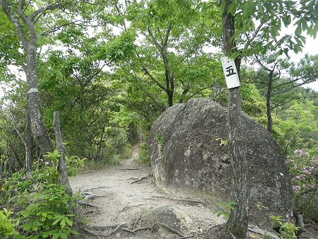 今度は五と書かれたプレートがあった。五合目という意味なのかよくわからないけど、地図を確認すると、この付近がちょうど距離的には真ん中