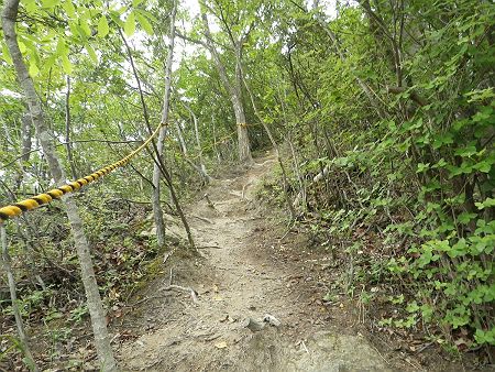 さらにトラロープがあって急登になっていた。このルートはいきなり急登が続いていたのでバテてきた