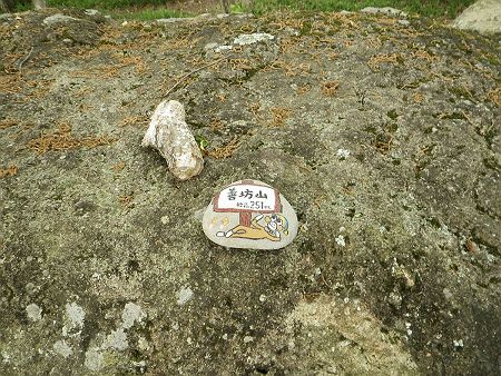 善防山の山頂プレートを探していると大きな岩の上に小石に書かれたものだけがあった
