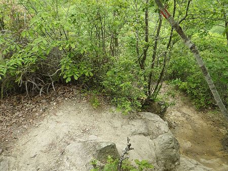 写真ではわかりにくいけど、こっち側もかなりの急斜面になっていて結構下らされている