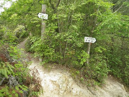 さらに分岐。周回ルートのほうは馬ノ背コースに繋がっているので周回後にここに戻ってくる予定のはず