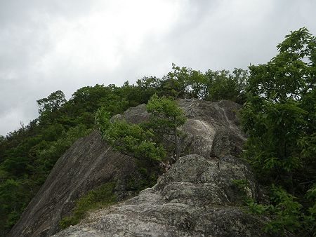 さらに鎖場の登りなんだけど、ここは右側の木にテープが巻いてあったんだけど、正規ルートは左側から樹林帯に入っていくのが正解