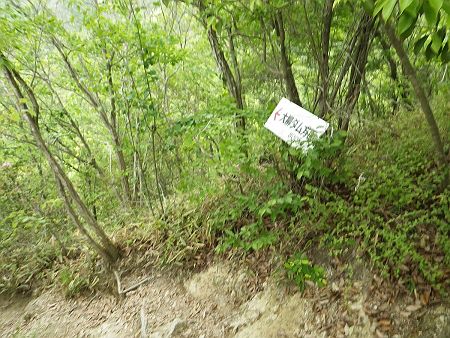 十分に休憩をとったので大柳ダム湖のほうへ下っていくことにした。体力的にはしんどいというより疲れてきたという感じだった