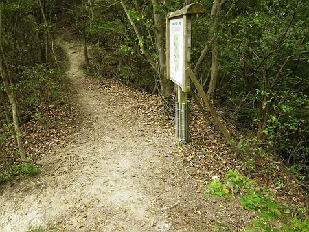 ここで分岐。左へ下っていくと古法華寺だが、ここはあえて予定通り東屋のほうへ登っていく