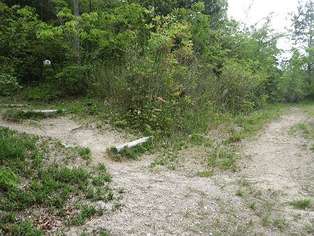 さらに左の登り口が尾根道の始まりで馬ノ瀬コースとなっている。ここから下った分の標高100mを登らないといけないと思うとテンションダウンした