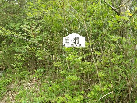 馬ノ瀬コースというプレートを発見したけど、正しくは馬ノ背ではないの！？