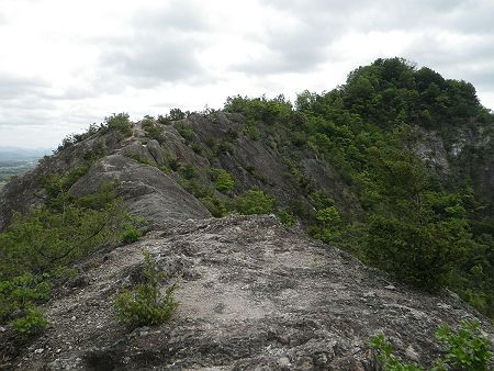 疲れながらもなんとか標高100mほど登って馬ノ背に到着。急登はなかったけど下ったあとの登りだったせいかかなり疲れたのでこの付近で休憩をとった