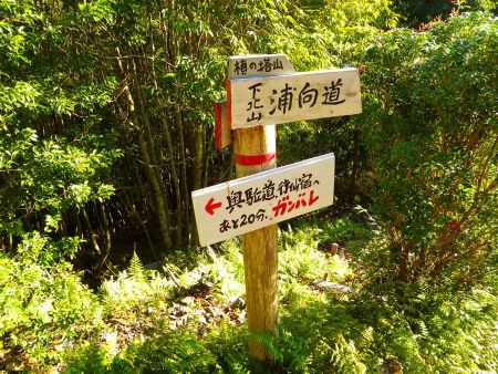 ここで分岐。行仙宿まであと20分ということはここで半分ということになるんだけど結構登ってきたような気がするんだけどね