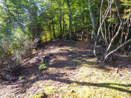 再び登りになっていく。こまめなアップダウンが続く