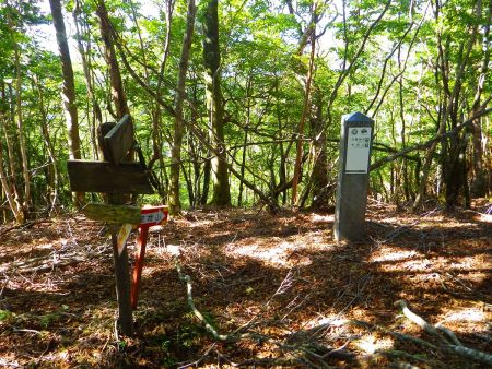 稜線に着くと笠捨山の山頂は右を少し登ったところになる