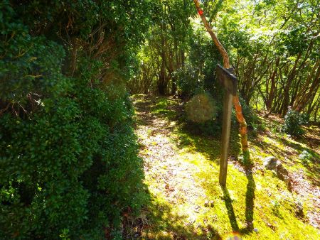 さて、次があるのでさっさと下山することにしたした