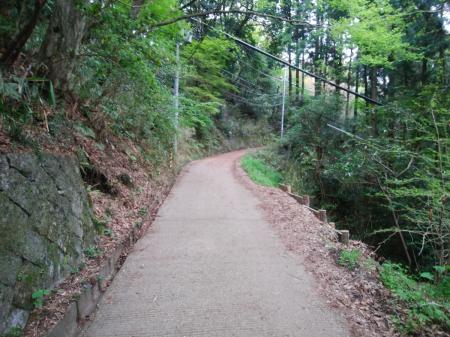 舗装路を進んでいく