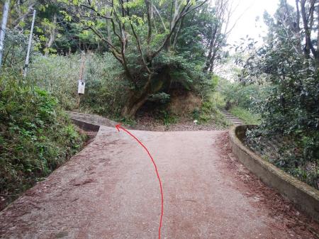 ここで分岐。山頂は左に折れて舗装路を進む