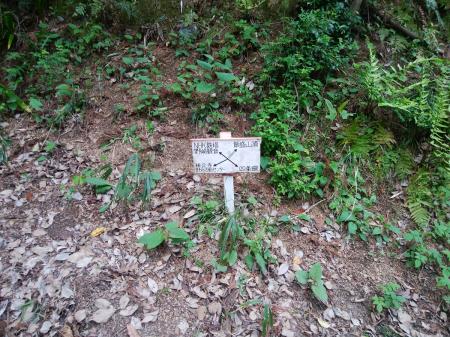 注意深く見るとプレートがある。NHKのFM電波塔のほうに行かないように注意