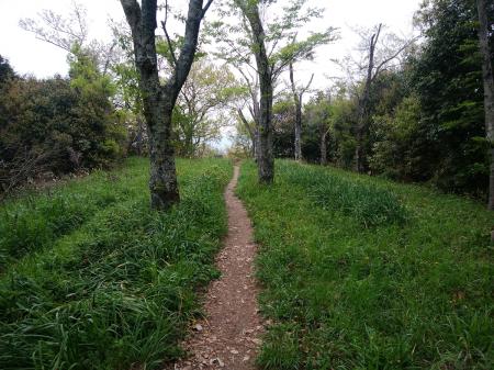 展望台からさらに下っていく
