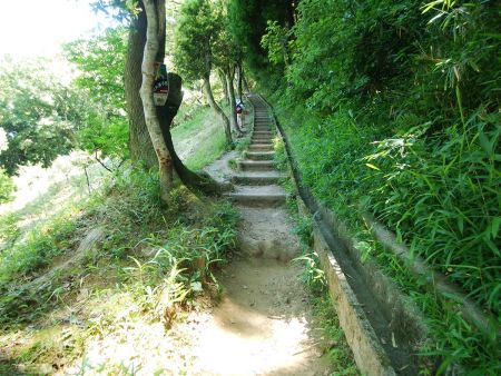 ここから階段の道になる。最初はなだらかな階段だけどペースを乱されるのでゆっくりと登っていく