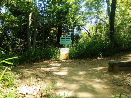 ここで尾根道に取り付いて道標に従って右に曲がって登っていく