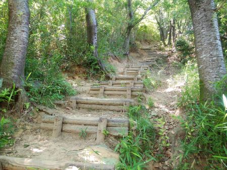 連続する階段の登り。こういう登山道は有難いんだけど、階段はペースが乱される