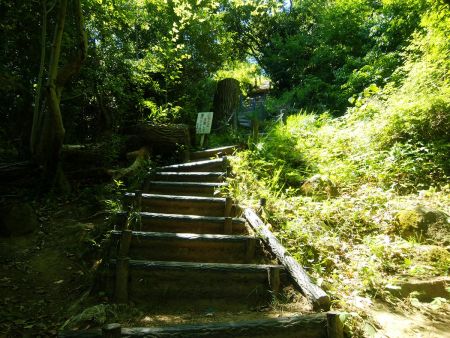 ここがかなり急な階段だった。テンポよく登っていったが上で息が切れた