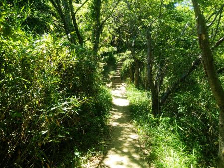 下ってさらに階段の登りが続く。もう勘弁してほしいくらい階段だらけの尾根道だった