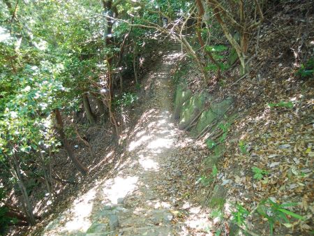 休憩が終わってさらに登っていこうとするとまた階段の登りだった