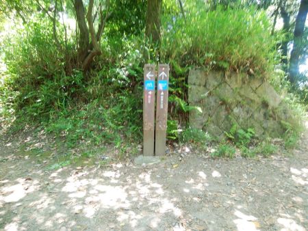 ここで分岐だけど、飯盛山頂を目指すので直進して登っていく