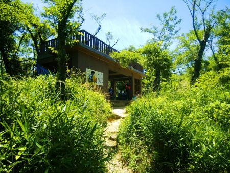 河内飯盛山の展望台に到着。山頂はすぐそこだし、展望台は人が多いので山頂で休憩することにした