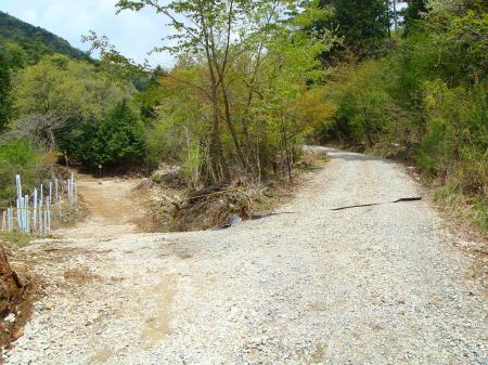 直進。左は横尾山から下ってくるルート