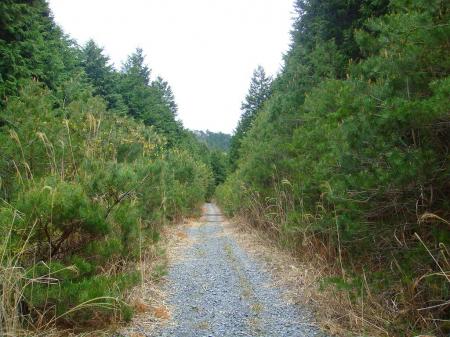 ここまでくるとあと少し