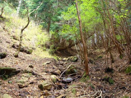 稜線が見えたところくらいから左の沢のほうへいけるのでそこを登っていくようにする（画像ではわかりにくいが左側の谷のほうから登る）