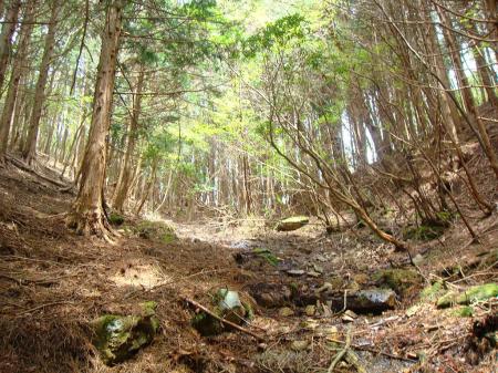 このコル部のようなところへ登っていく