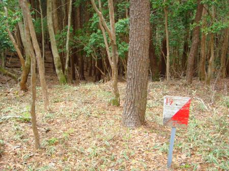 登山道に出ると「19」の看板があった