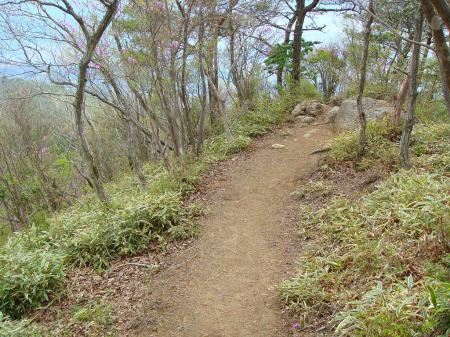 下山はさっきの尾根道を進む。ここを左へ折れる