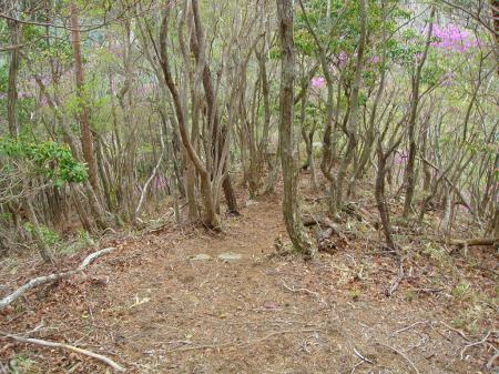 急坂や分かりにくいところがあるが、あくまで尾根をはずさなければOK