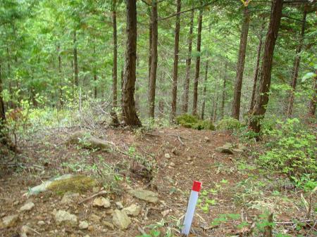 この杭をたどっていくのもOK