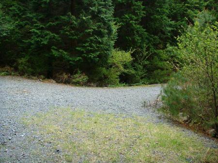 林道の終点に到着