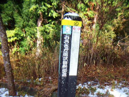 この辺りからノーマルタイヤでは不可能なので、車を停めれるところから歩いていくことになる