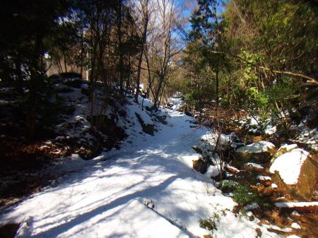 野外活動センター内の自然歩道は沢沿いの道になっている