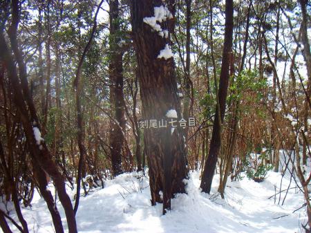 ここは七合目らしいけど、ほかの合目の看板など見なかったけどね