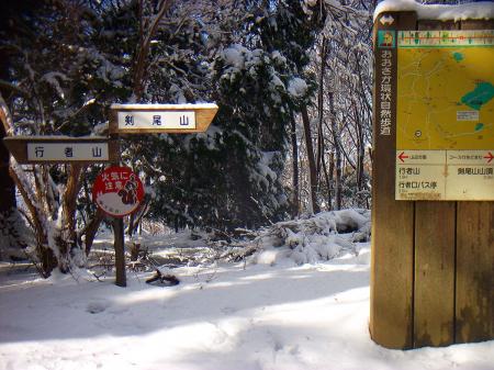 ここでようやく尾根合流の分岐。ここからは行者山から登ってきた人のトレースがあった